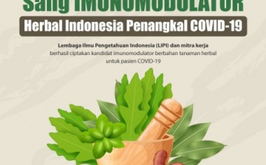 Mengenal Produk Imunomodulator (Penguat Daya Tahan Tubuh) Herbal Asli Indonesia